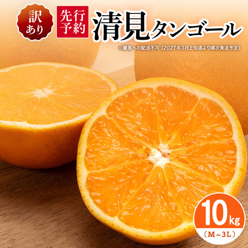 【先行予約】【訳あり】清見タンゴール 10kg（M～3L）※離島への配送不可 （2027年3月上旬頃より順次発送予定） IKTAR014