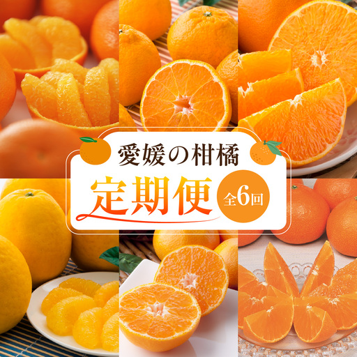 【愛媛県共通返礼品】【定期便】愛媛の柑橘定期便（全6回）（日の丸みかん・紅まどんな・いよかん・デコポン・せとか・河内晩柑） ※2026年11月～2027年4月に毎月1回発送予定  IKTAX018
