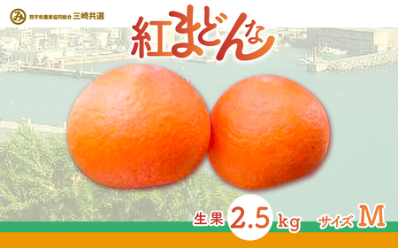 [先行予約][贈答用]紅まどんな(2.5kg/Mサイズ)※離島への配送不可(2026年12月上旬より順次発送予定) IK