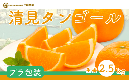 【先行予約】清見タンゴール（Pプラ包装・生果2.5kg）※離島への配送不可（2027年6月上旬～6月中旬頃より順次発送予定） IKTBD006
