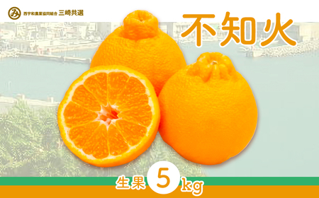 【先行予約】不知火（生果5kg）※離島への配送不可（2027年2月上旬～2月下旬頃より順次発送予定） IKTBD011
