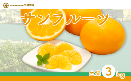 【先行予約】サンフルーツ（生果3kg）※離島への配送不可（2027年2月上旬～3月上旬頃より順次発送） IKTBD012