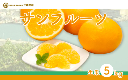 【先行予約】サンフルーツ（生果5kg）※離島への配送不可（2027年2月上旬～3月上旬頃より順次発送） IKTBD013