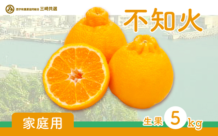 【先行予約】【家庭用】不知火 5kg ※離島への配送不可（2027年2月上旬～2月下旬頃より順次発送予定） IKTBD016