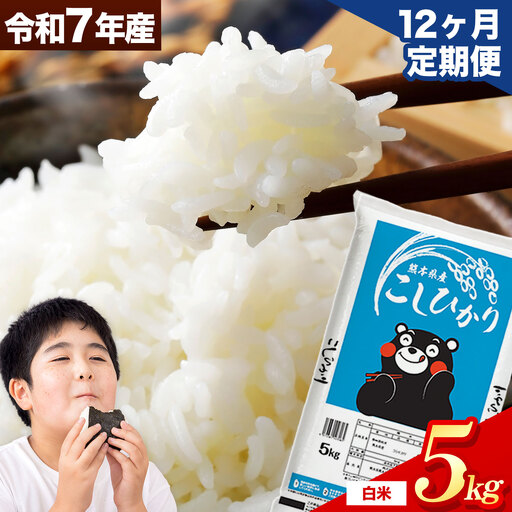 【12ヶ月定期便】令和7年産  こしひかり 5kg 精米 白米 《お申込み翌月から出荷》
