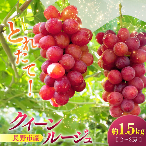 クイーンルージュ(R)1.5kg 2-3房 | ぶどう フルーツ 果物 ぶどう