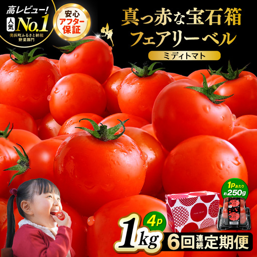定期便 ≪6ヶ月連続お届け≫ フルーツミディトマト 約1kg × 6回 トマト 野菜  [m37-c005]