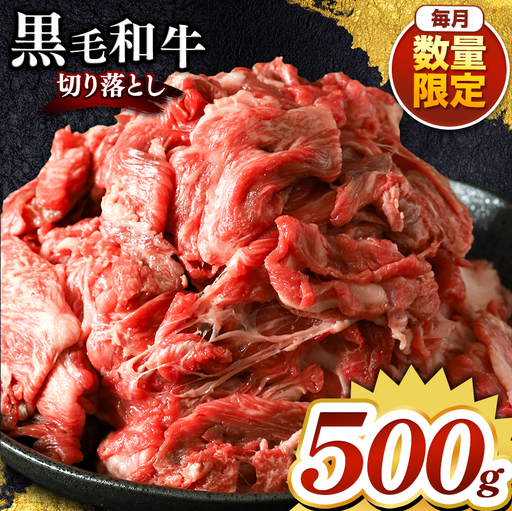 栃木県産 黒毛和牛 切り落とし 500g