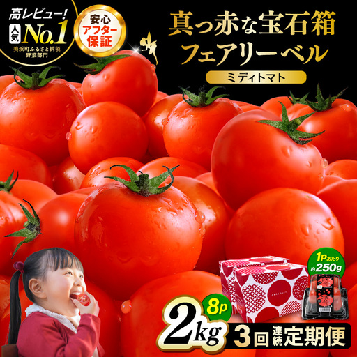 定期便 ≪3ヶ月連続お届け≫ フルーツミディトマト 約2kg(1kg×2箱）× 3回 トマト 野菜  [m37-c006]