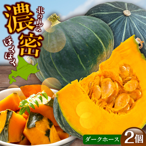 【先行予約】北海道 かぼちゃ ダークホース 2個 【9月中旬以降発送】足寄町/足寄アグリバイオ株式会社[BEAC009]
