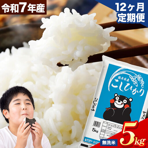 [12ヶ月定期便]令和7年産 無洗米 こしひかり 5kg 無洗 [お申込み翌月から出荷]