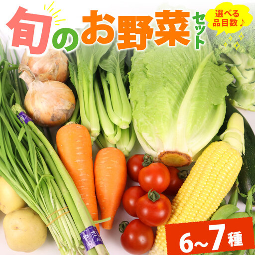 野菜セット 6~7品目 以上 野菜セット