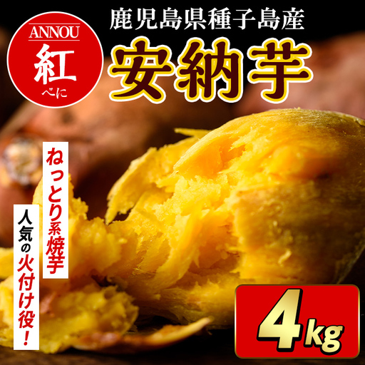 安納芋 さつまいも 紅 4kg 種子島産 [うずえ屋]n479