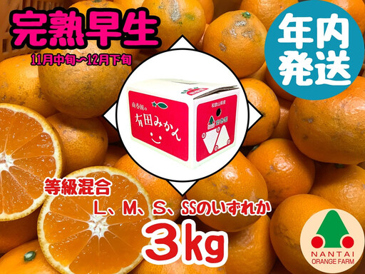 年内発送 等級混合 完熟早生 有田 みかん L ～ SS サイズ 3kg 南泰園 和歌山 有田みかん
