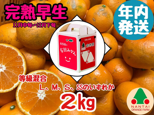 年内発送 等級混合 完熟早生 有田 みかん L 〜 SS サイズ 2kg 南泰園 和歌山 有田みかん