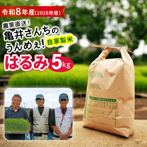 新米 [令和8年産／10月中旬より順次発送] 伊勢原産 精米 5kg はるみ 農家直送！亀井さんちのうんめぇ！自家製米 [1136]