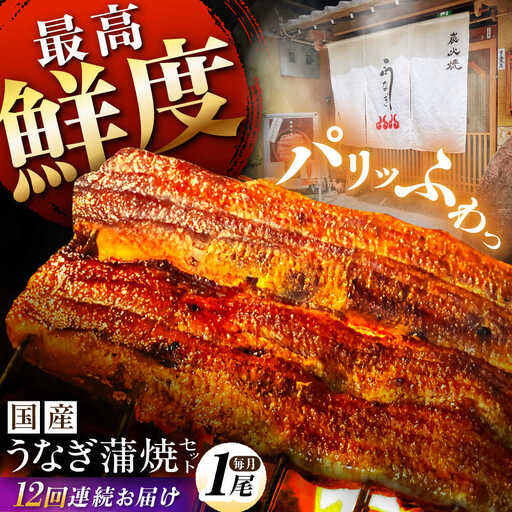[12回定期便]国産うなぎ 蒲焼 1尾 / 多幸八[AWBL009] うなぎ