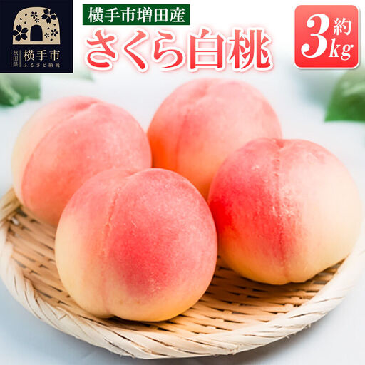 【先行受付】9月中旬より発送 横手市増田産の桃（さくら白桃）約3kg