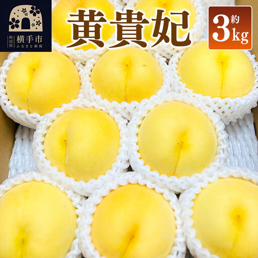 【先行受付】9月上旬より発送 黄貴妃 約3kg（9～13玉前後）モモ もも 黄色桃