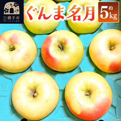 【先行受付】11月上旬より発送 ぐんま名月 ご家庭用 約5kg りんご リンゴ 林檎