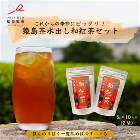 水出し和紅茶/5g×10(2袋)【本格的な紅茶】ティーバッグ TBG-008【配送不可地域：離島・沖縄県】【1625221】