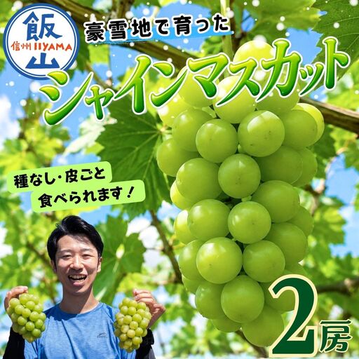 【2026年】贈答用 シャインマスカット 2房（約1kg以上）