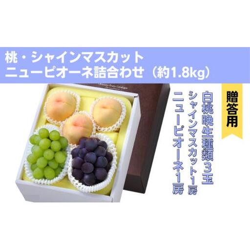 詰合せ 白桃 晩生種 3玉 シャインマスカット 1房 ニューピオーネ 1房 合計約1.8kg 岡山県産 【先行予約 2026年8月下旬から順次発送】