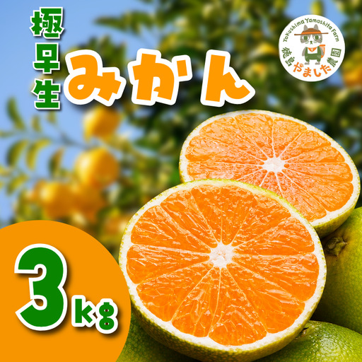 [2026年10月順次発送] 極早生みかん 3kg 温州 みかん
