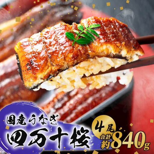 [贈答用]特大 国産うなぎ蒲焼き 210g×4 蒲焼き