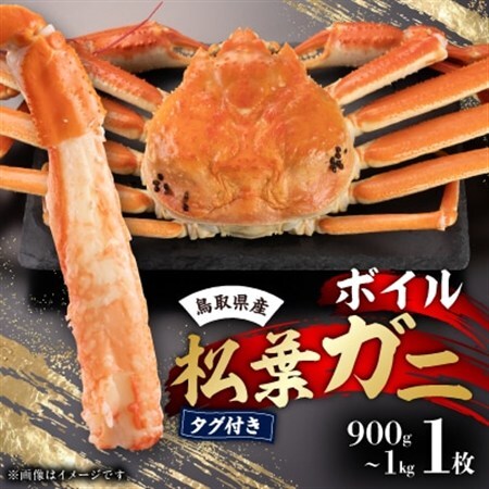 鳥取県産タグ付きボイル松葉ガニ1枚(900g～1kg)【配送不可地域：離島・北海道・沖縄県】【1533392】