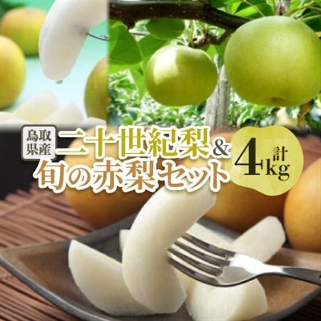 二十世紀梨と旬の赤梨セット 4kg【配送不可地域：離島・北海道・沖縄県】【1593378】