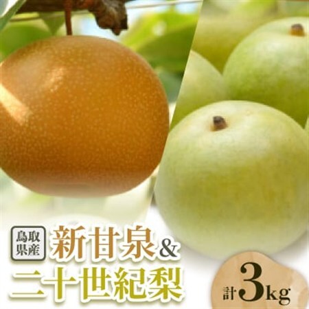 二十世紀梨と新甘泉のセット 3kg【配送不可地域：離島・北海道・沖縄県】【1593387】