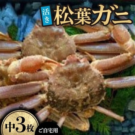 【先行予約】【活き】ご自宅用　松葉ガニ　中　3枚(1枚500～640g前後)※11月中旬から順次発送【配送不可地域：離島・北海道・沖縄県】【1596435】