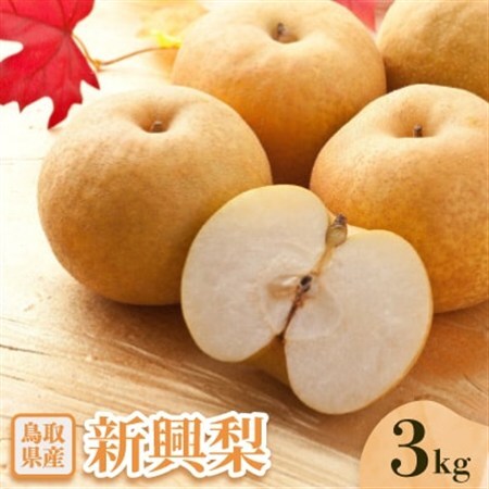 新興梨 3kg【配送不可地域：離島・北海道・沖縄県】【1597669】