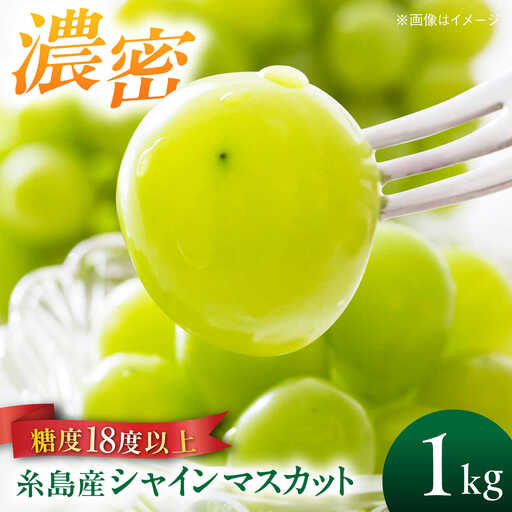 【糖度18度以上】 糸島産 シャインマスカット 1kg  糸島市 / 和饗エコファーム フルーツ 果物 [AVI006]