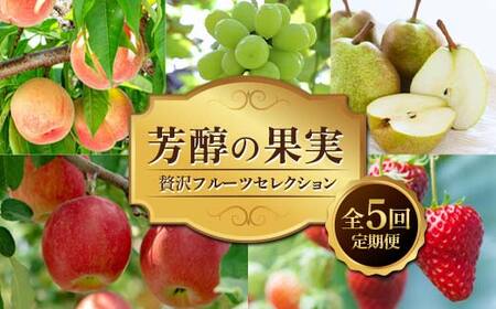 《2026年先行予約》芳醇の果実 ?贅沢フルーツセレクション? 全5回定期便 FSY-2512