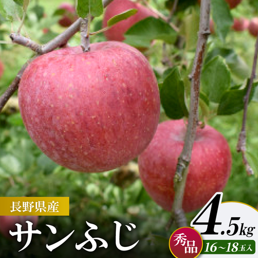 サンふじ 4.5kg(秀16〜18玉)