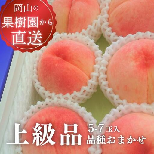 桃 上級品 岡山県産 旬採り桃(品種おまかせ) 5-7玉 [KF-A002-04]