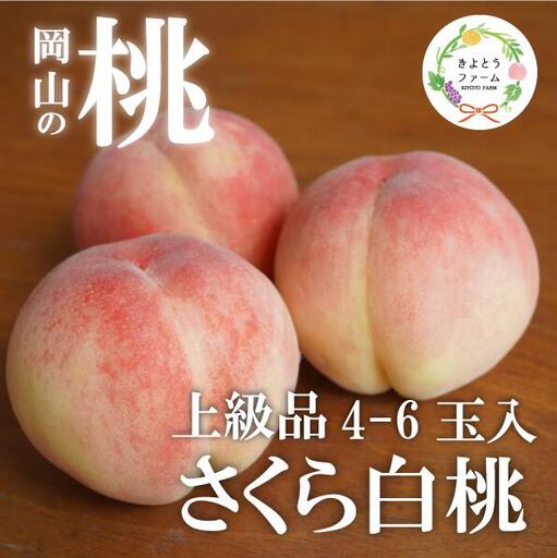 しっかりとした果肉「さくら白桃」上級品 4-6玉 (岡山県産)【KF-A010-02】