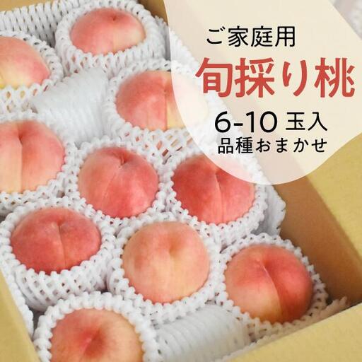 旬採り桃(品種おまかせ) ご家庭用 6-10玉 (岡山県産) もも 真庭市 【KF-A018-04】