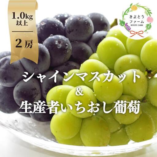 シャインマスカット 岡山県産ぶどう シャインマスカット&生産者いちおし葡萄2房入計1.0kg〜 [KF-B010-04]
