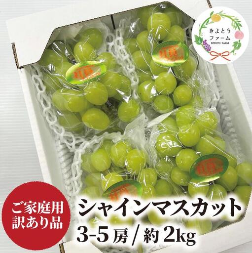 訳あり シャインマスカット 岡山県産 訳ありシャインマスカット約2.0kg〜 [KF-B020-03]