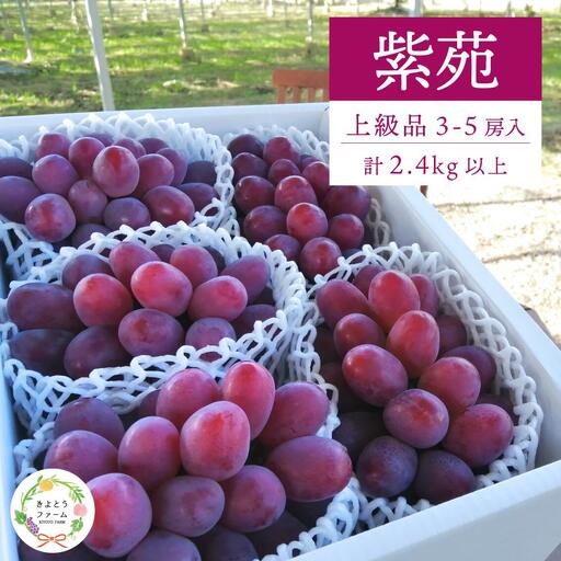 ぶどう 岡山県産 特選ぶどう紫苑3-5房2.4kg～ 【KF-B046-03】