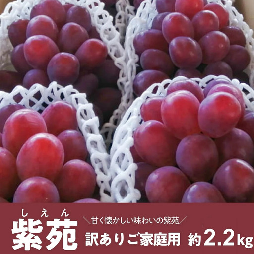 訳あり ぶどう 岡山県産 ご家庭用ぶどう紫苑(しえん)約2.2kg 【KF-B085-03】