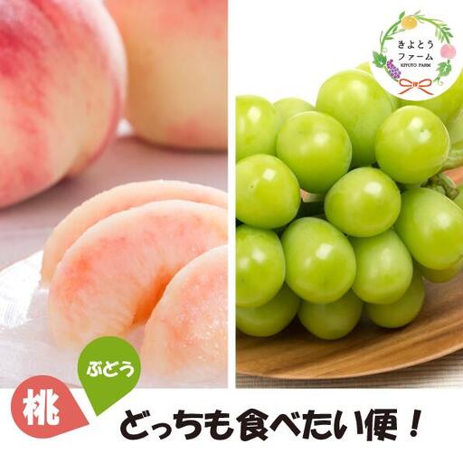 旬採り桃とシャインマスカットどっちも食べたい便!2回便(定期便) (岡山県産)[KF-T012-04]