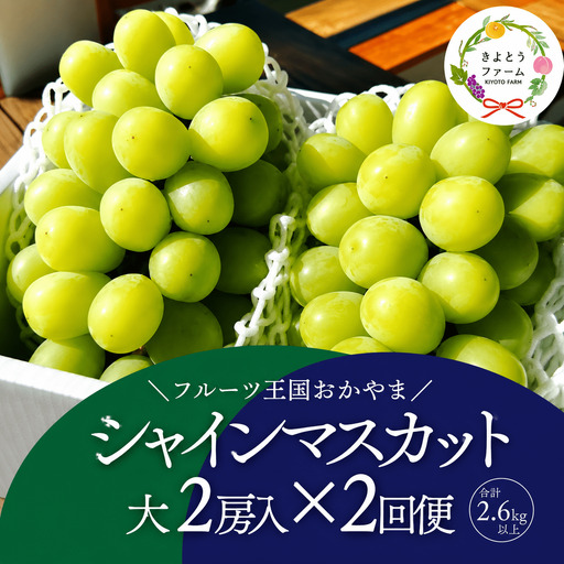 【二回定期便 】 シャインマスカット 岡山県産特大シャインマスカット２房×２回/全便計2.6kg～ 【KF-T044-03】