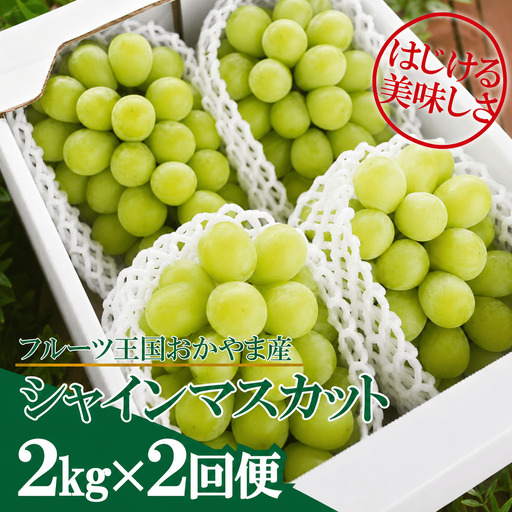 【２回定期便】 シャインマスカット 岡山県産シャインマスカット3-5房入×２回/全便計4.0kg～ 【KF-T046-03】