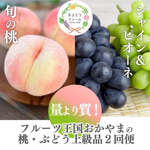 [2回定期便] 桃(5-7玉)&ピオーネ&シャインマスカット 岡山県産特大シャインマスカット 2房入り [KF-T056-04]