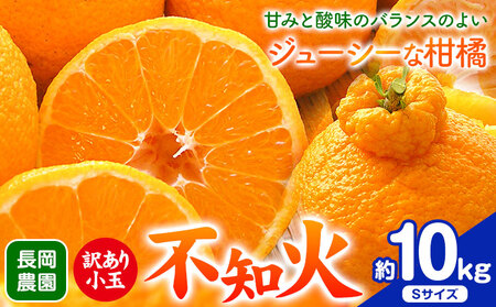 訳あり 小玉 不知火 ( デコポン ) 約10kg