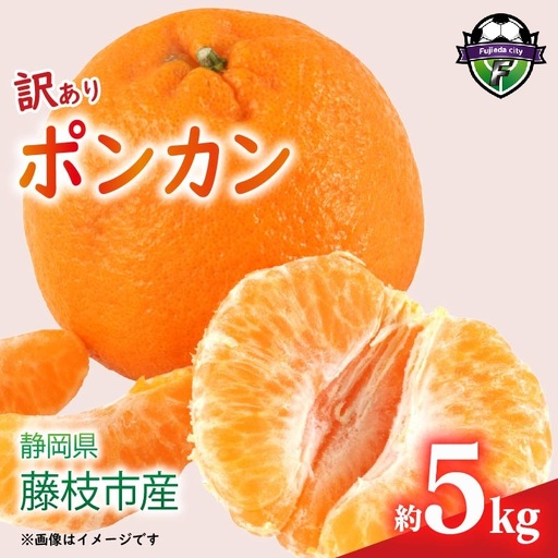訳あり ポンカン【先行予約】2027年1月下旬より発送 みかん 5kg